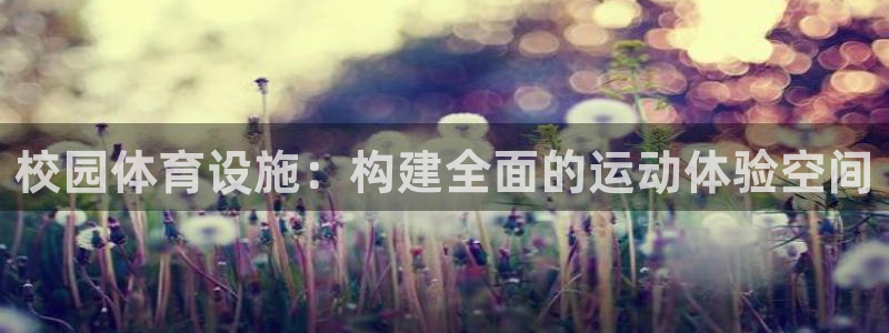 意昂体育4：校园体育设施：构建全面的运动体验空间