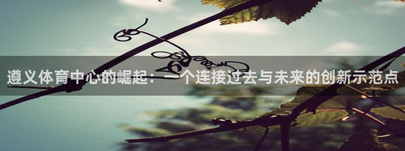 意昂体育4平台APP：遵义体育中心的崛起：一个连接过