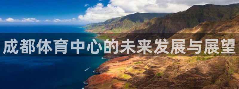 意昂体育4平台注册要钱吗：成都体育中心的未来发展与展