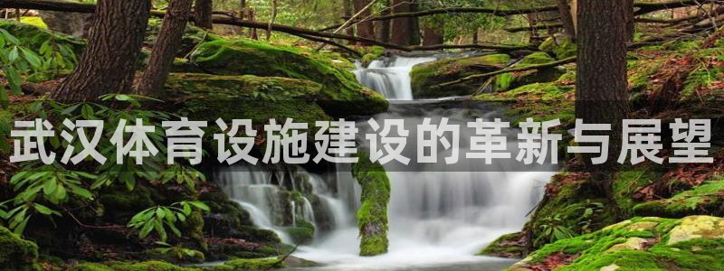 意昂集团官网：武汉体育设施建设的革新与展望