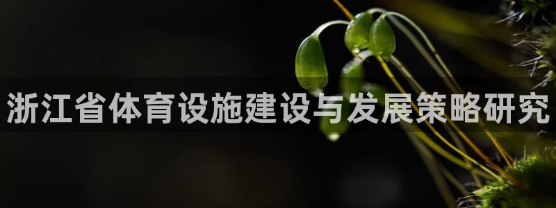 意昂4娱乐代理怎么样：浙江省体育设施建设与发展策略研