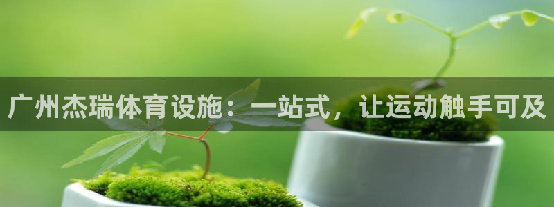 德国意昂4集团：广州杰瑞体育设施：一站式，让运动触手