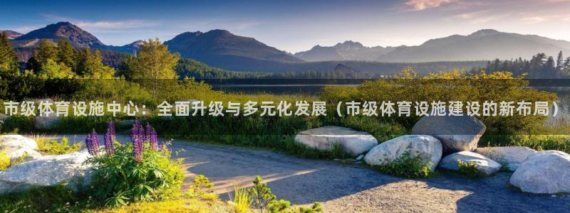 意昂4官网：市级体育设施中心：全面升级与多元化发展（