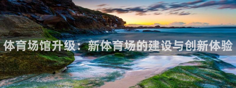 意昂体育4注册：体育场馆升级：新体育场的建设与创新体