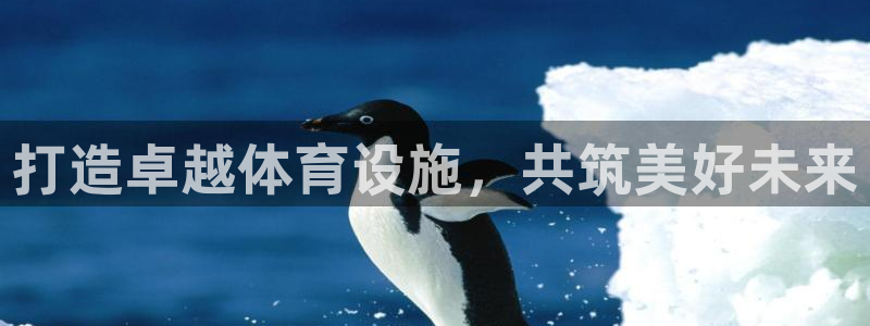 意昂平台体育：打造卓越体育设施，共筑美好未来