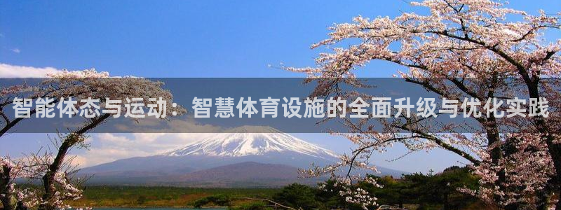 意昂4科技：智能体态与运动：智慧体育设施的全面升级与