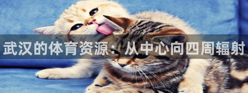 意昂体育4招商电话地址是多少：武汉的体育资源：从中心