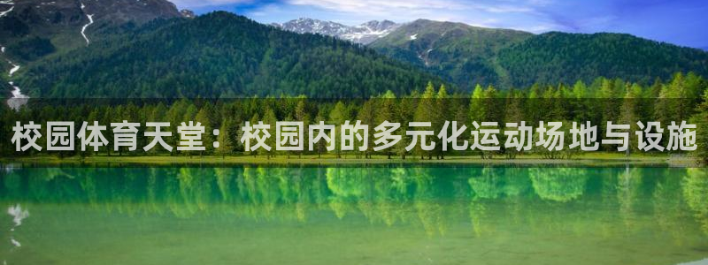 意昂体育4开户：校园体育天堂：校园内的多元化运动场地