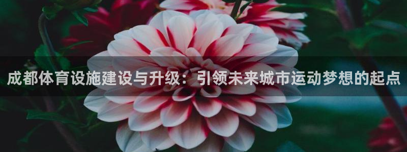 意昂4开户：成都体育设施建设与升级：引领未来城市运动