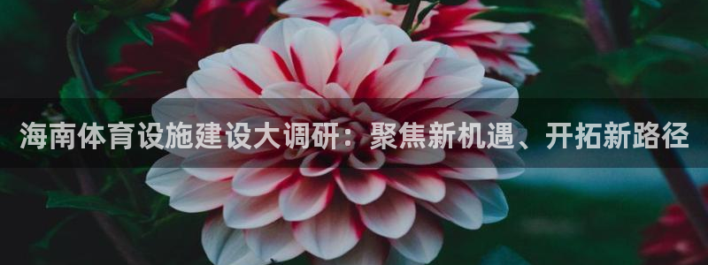 意昂体育4招商电话号码是多少啊：海南体育设施建设大调