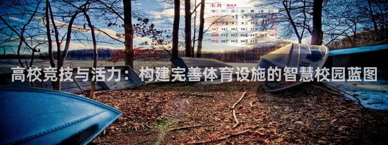 意昂体育4平台注册要钱吗安全吗：高校竞技与活力：构建