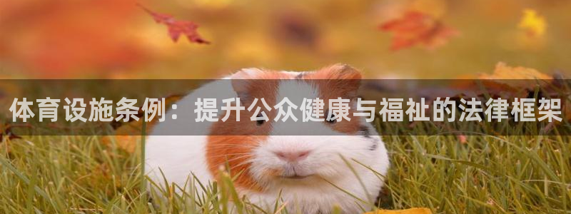 意昂体育4平台：体育设施条例：提升公众健康与福祉的法