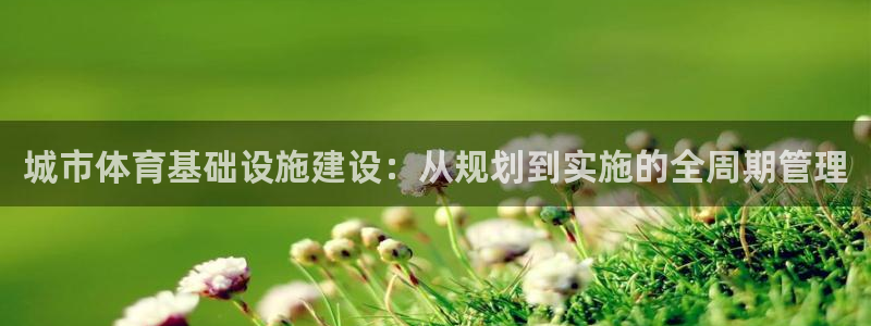 意昂4代理：城市体育基础设施建设：从规划到实施的全周