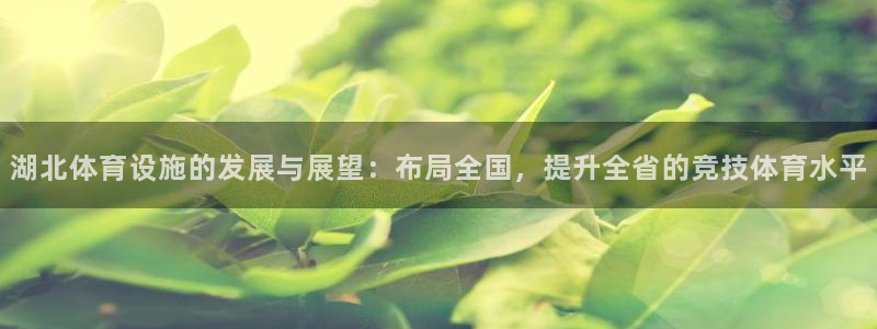 意昂4集团：湖北体育设施的发展与展望：布局全国，提升