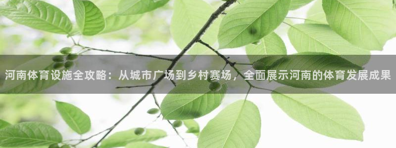 海南意昂体育4发展怎么样：河南体育设施全攻略：从城市