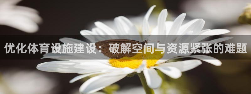 意昂4官方：优化体育设施建设：破解空间与资源紧张的难