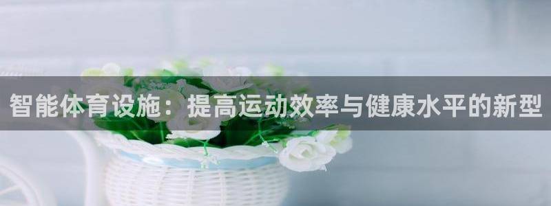 意昂4神州：智能体育设施：提高运动效率与健康水平的新