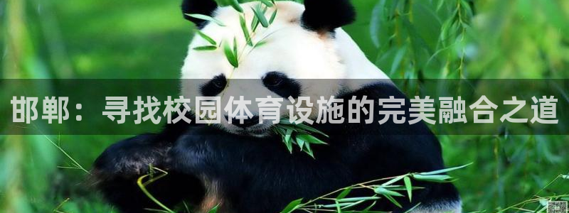意昂4娱乐首页网站大全：邯郸：寻找校园体育设施的完美