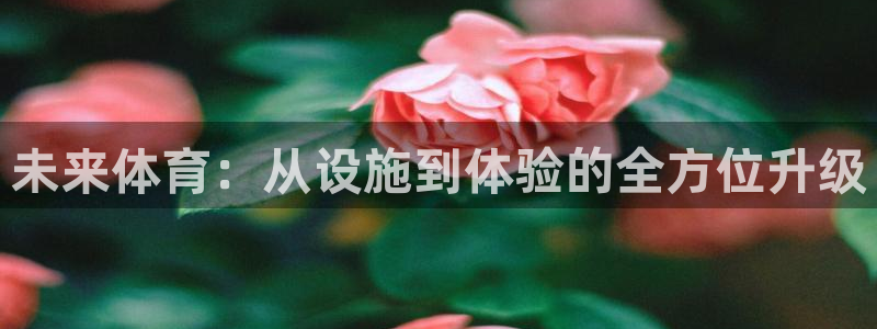 意昂体育4招商电话：未来体育：从设施到体验的全方位升