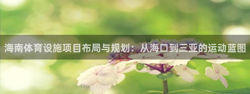意昂体育4招商电话号码查询：海南体育设施项目布局与规
