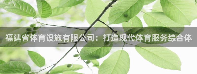 意昂体育4平台注册流程视频：福建省体育设施有限公司：