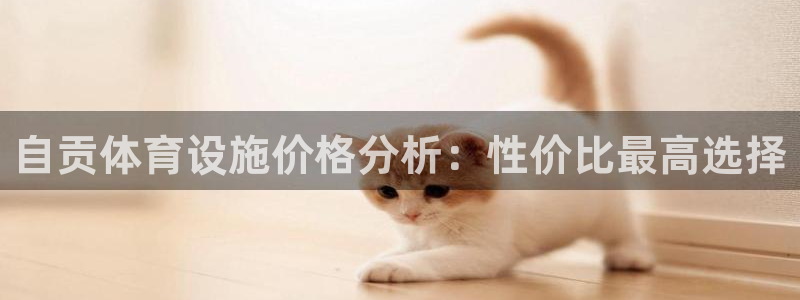 意昂4娱乐40996：自贡体育设施价格分析：性价比最