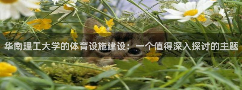 意昂体育4平台注册要钱吗安全吗：华南理工大学的体育设