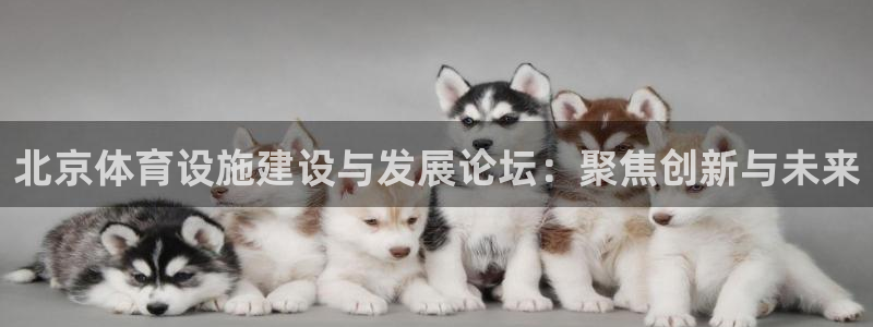 意昂4开户：北京体育设施建设与发展论坛：聚焦创新与未