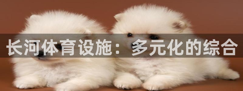 意昂体育4是干嘛的公司：长河体育设施：多元化的综合