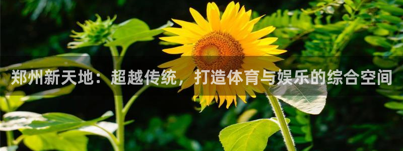 意昂体育4平台：郑州新天地：超越传统，打造体育与娱乐