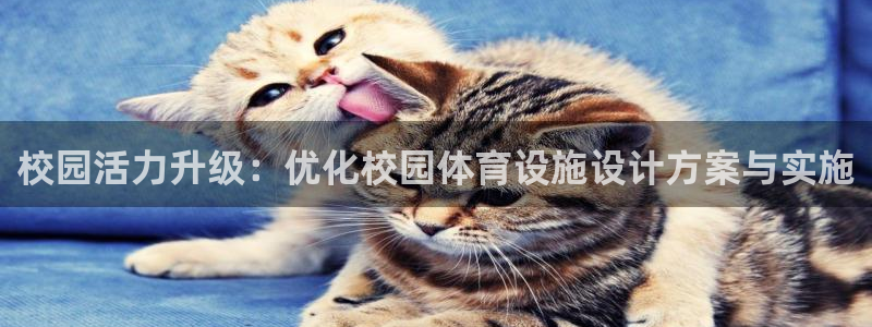 意昂集团官网：校园活力升级：优化校园体育设施设计方案