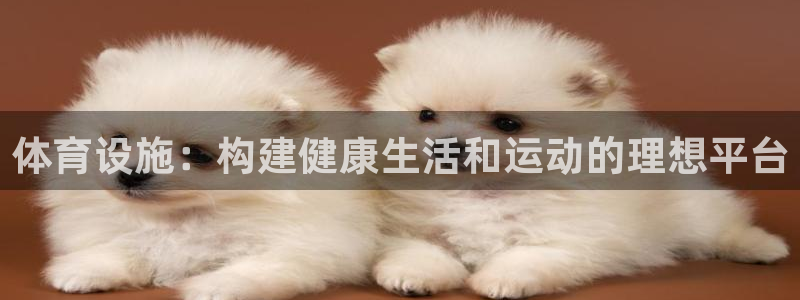 意昂4娱乐是那个系列的台子：体育设施：构建健康生活和运动的理