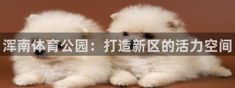海南意昂体育4：浑南体育公园：打造新区的活力空间