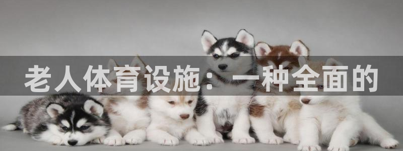 意昂体育4招商电话地址是多少：老人体育设施：一种全面的