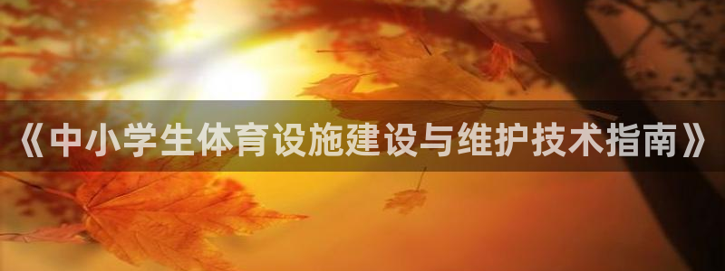 意昂体育4平台是正规平台吗：《中小学生体育设施建设与维护技术