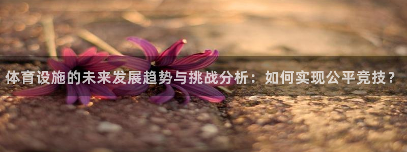 意昂4集团简介：体育设施的未来发展趋势与挑战分析：如何实现公 