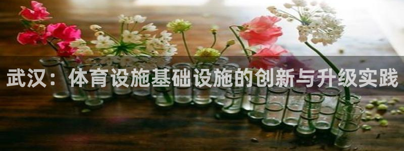 意昂体育4平台注册要钱吗：武汉：体育设施基础设施的创新与升级