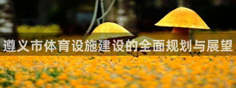 意昂平台体育：遵义市体育设施建设的全面规划与展望