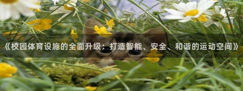 意昂体育4平台注册流程图：《校园体育设施的全面升级：