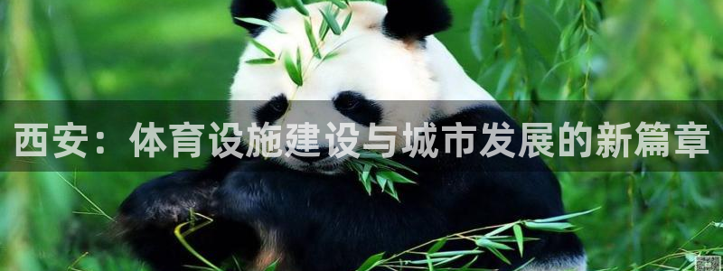 海南意昂体育4发展怎么样：西安：体育设施建设与城市发展的新篇