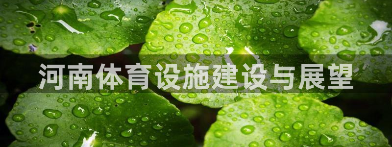 意昂体育4招商电话地址：河南体育设施建设与展望