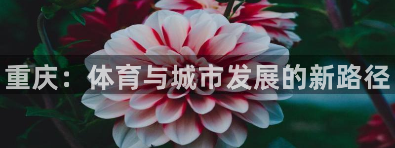 意昂体育4平台是正规平台吗知乎：重庆：体育与城市发展