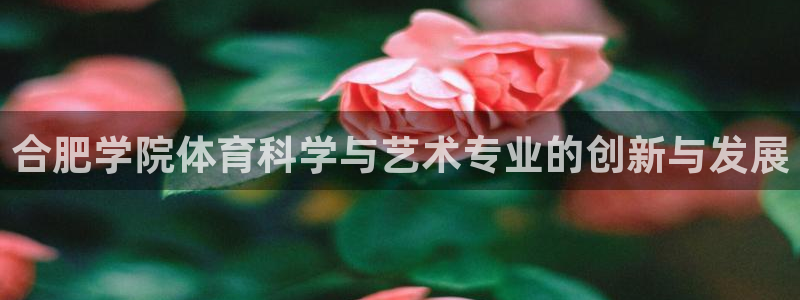 意昂体育4平台是正规平台吗知乎：合肥学院体育科学与艺