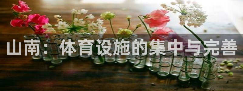 意昂4娱乐是那个系列的台子：山南：体育设施的集中与完