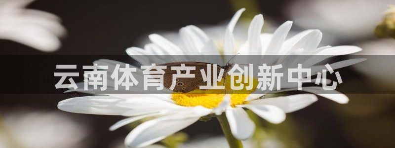 意昂体育4招商电话：云南体育产业创新中心