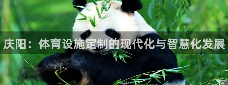 意昂体育4平台注册流程图：庆阳：体育设施定制的现代化