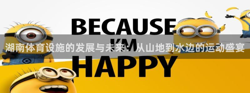 意昂体育4是干嘛的公司：湖南体育设施的发展与未来：从