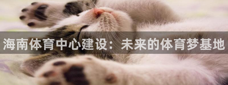 意昂4娱乐：海南体育中心建设：未来的体育梦基地