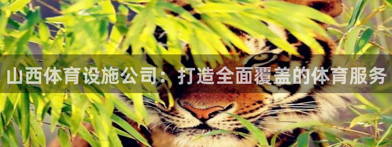 意昂4开户：山西体育设施公司：打造全面覆盖的体育服务