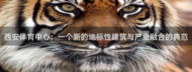 意昂体育4平台注册要钱吗是真的吗：西安体育中心：一个